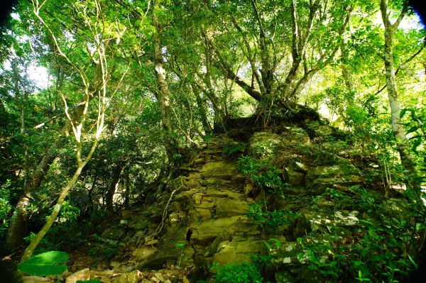 新竹 尖石 那羅山、煤源山3068657