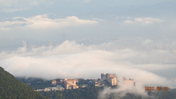 雲山水花鳥蝶-天龍國阿伯的日常6/25&261744391