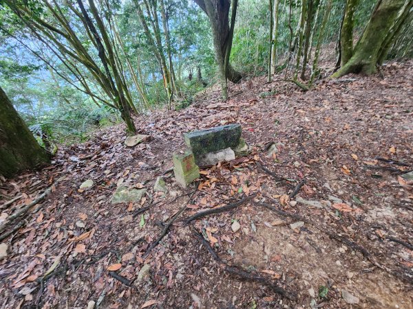 20260220板子寮山舊武界越山橫屏山O型3011640