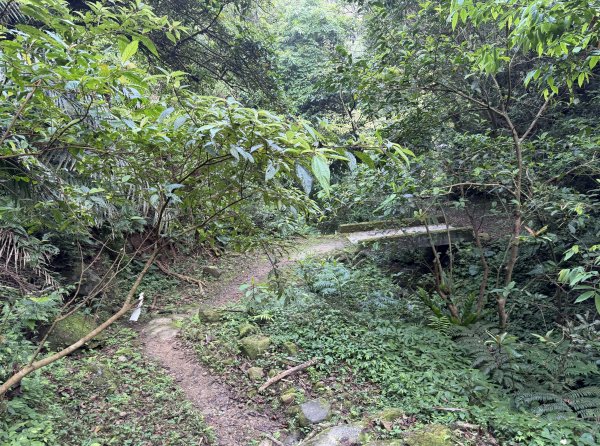 [微笑山線_第八段] 2026_0411 二格山系_西帽子岩3034951