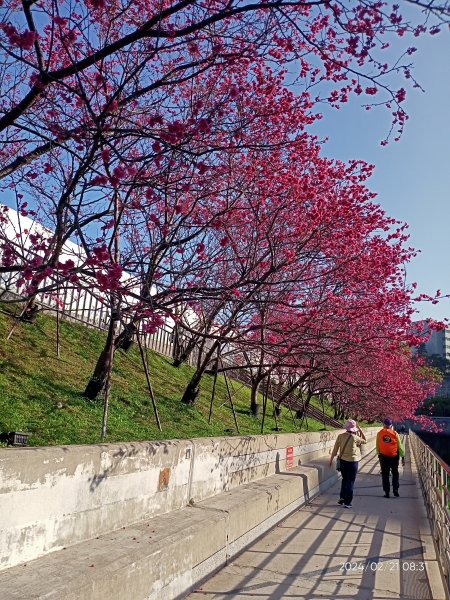 東湖樂活公園→内溝溪步道→內溝溪生態展示館→真武山→油桐嶺→內溝山→翠湖→北港二坑礦場遺址→金龍湖2433167