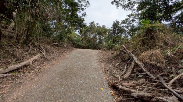 崁頭山步道3002472
