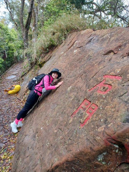 【苗栗大湖】山頂展望佳等到雲海。 馬那邦山登山步道2806804