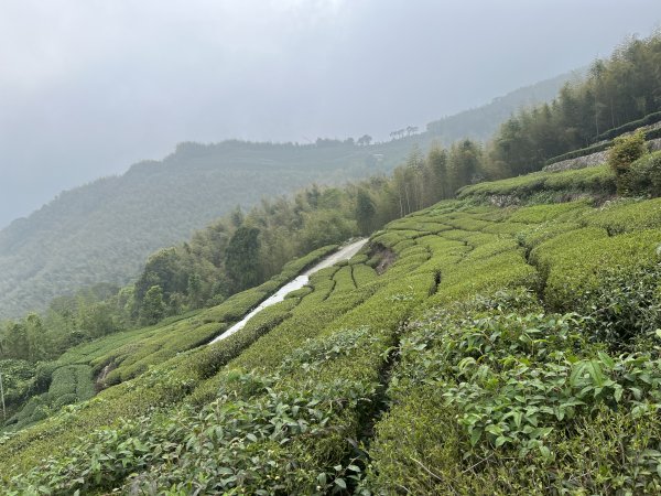 2023_0429_挑筍古道2138260