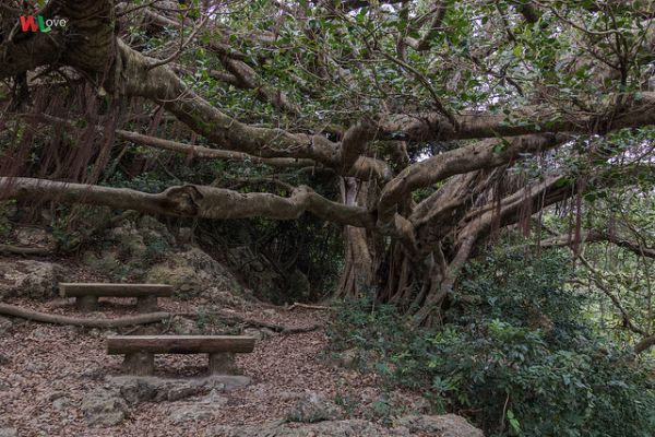 WL 愛旅行【壽山】269503