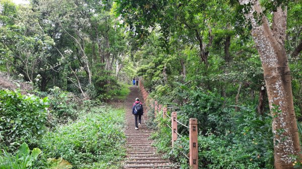 《彰化》古意人文｜員林18觀音O繞大峰巷挑水古道202504122759463