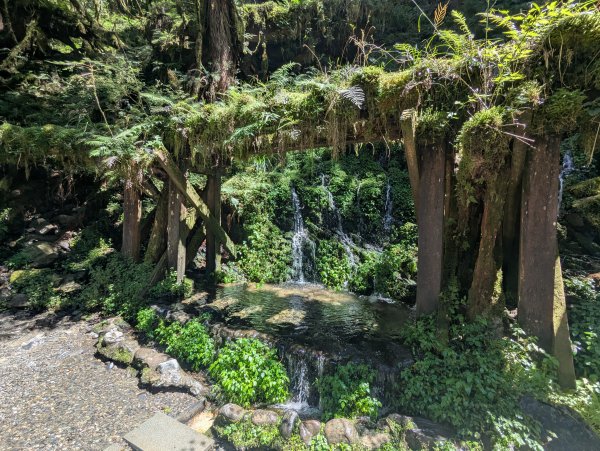 2025.09.28－見晴懷古步道2898767