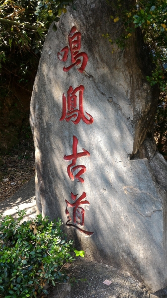 鳴鳳古道封面