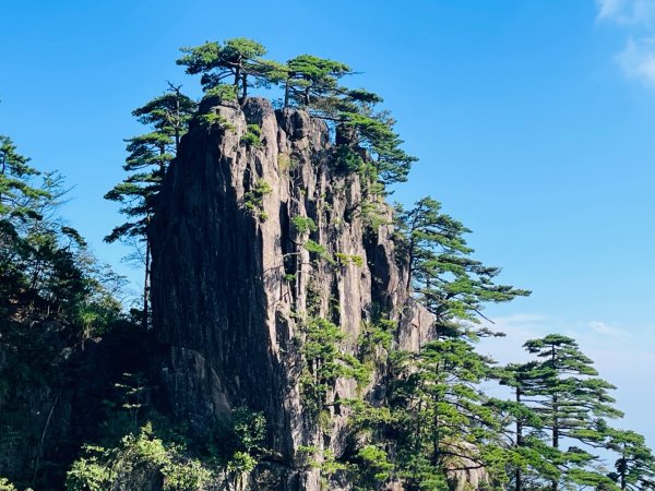 1140915-17安徽省黃山2891410