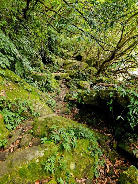 淡蘭中路第四段：威惠廟至灣潭古道登山口(崩山坑線)2882718