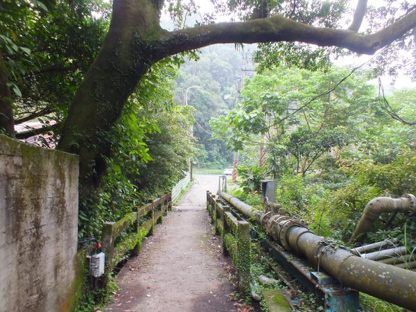 北投區陽峰古道+東昇步道+鼎筆橋步道十八挖水圳步道+猴崁古道+青春嶺步道+大屯瀑布8字走2775638
