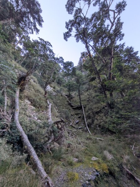 結界縱走三日(結城山、境界山、檜山)2920884