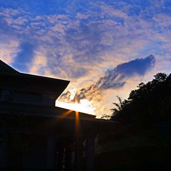 金山法鼓山園區步道100444