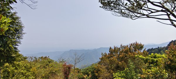 2026/04/14 高島縱走P型3037524