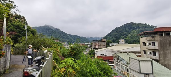 2025/05/25_茶園坪山2796586