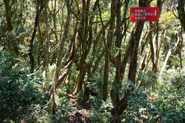 新竹 尖石 貴妃山、那結山2913602