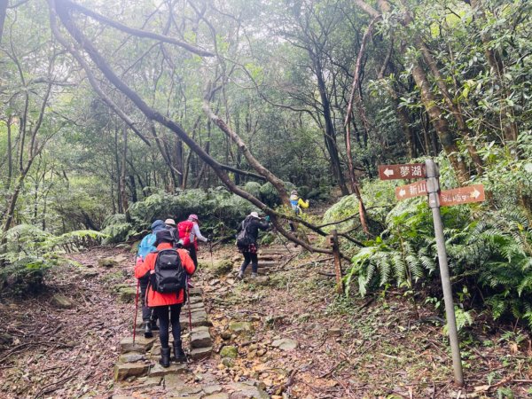 1131225新山夢湖2676508