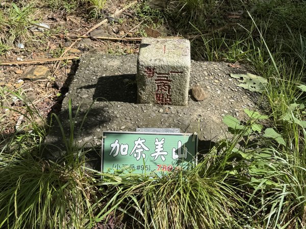 加奈美山 (開車富南上至2K水泥路尾起登)20260906