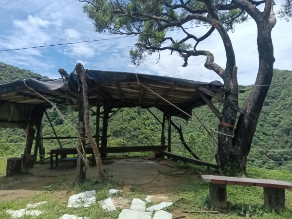 瑞芳區長青早起會觀景+碧峰岩步道2854007