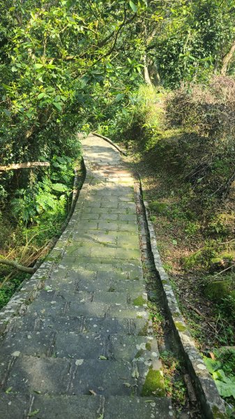 2025-0310臺北大縱走第七段2737265