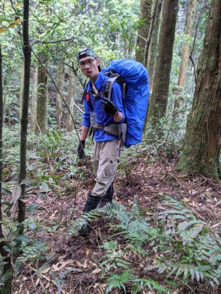 露門山路門1321418