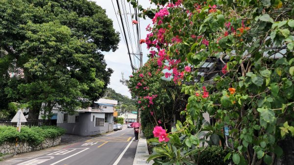 八勢古道,三空泉步道,貴子坑步道2545527