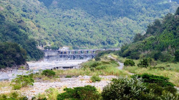 谷關溫泉,八仙山,勝興車站,三灣落羽松2654802