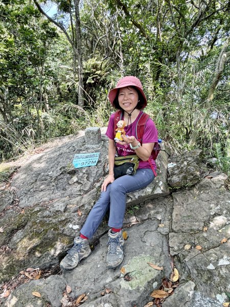 西阿里關山 202605033048188