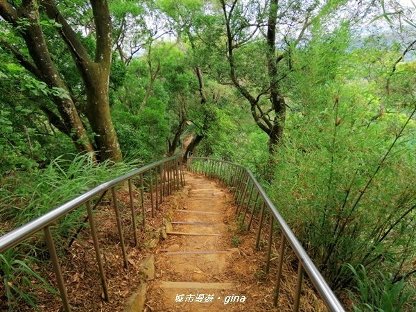 【彰化。田中】蓊鬱山林賞景趣。 田中森林登山步道