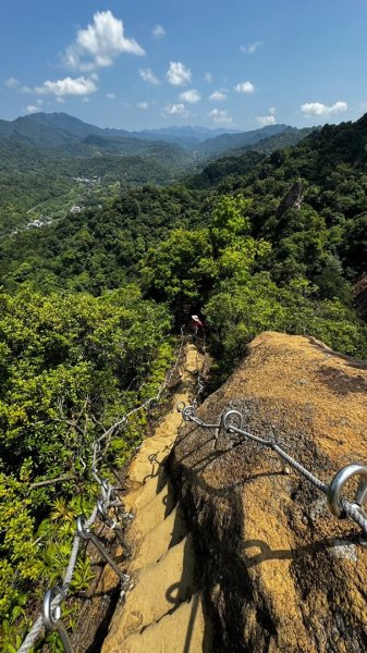 孝子山、普陀山、慈母峰賞鹿子野百合O走2592920