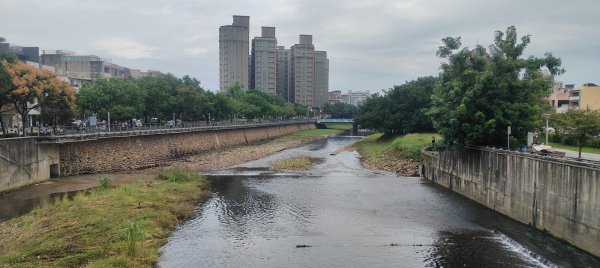 桃園老街溪2928630