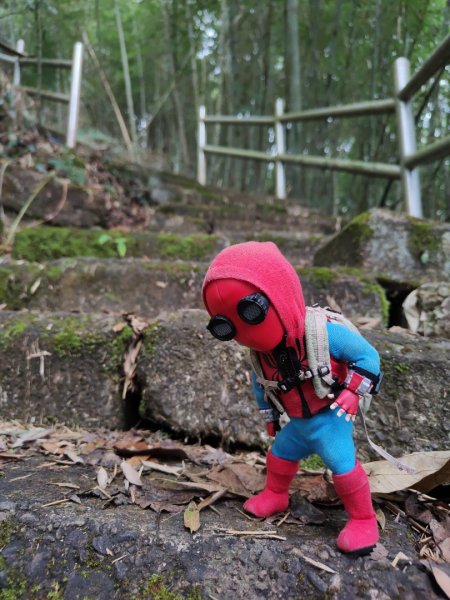 2023.12.24 大湖尖山2838730