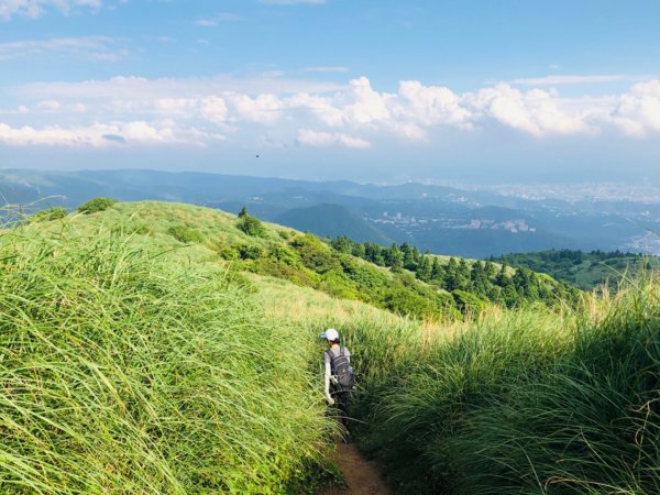 1090503大屯山西峰.南峰950246