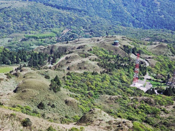 2026年臺北大縱走第三段：小油坑至風櫃口(七星山段)3029537