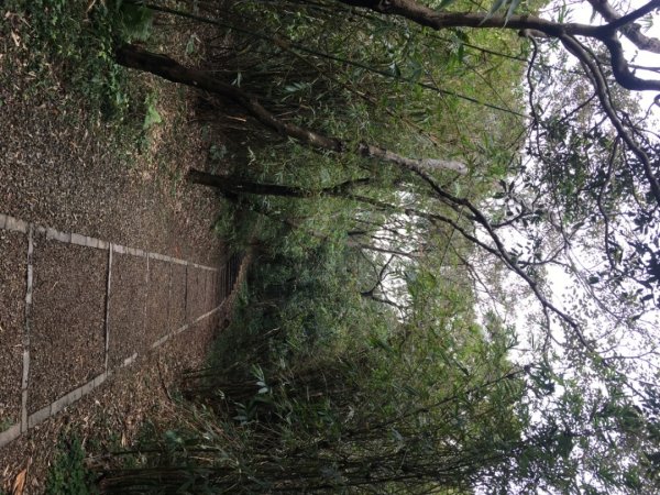 五酒桶山、南崁山2693343