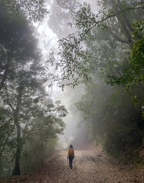雪霸國家公園 雪見遊憩區 東洗水山2928553