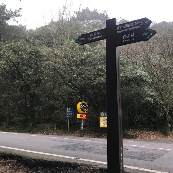 台北大縱走第二段1249261