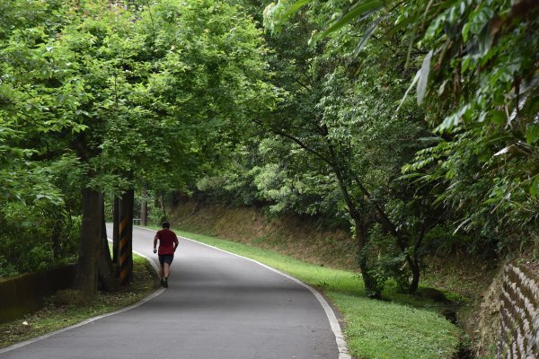 樹林大棟山／小百岳0151408552