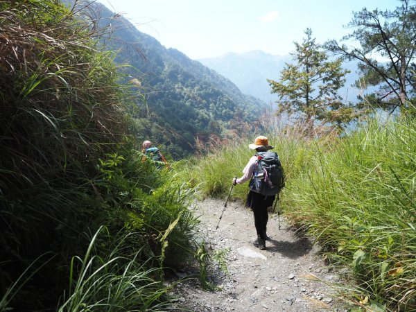奇萊南華高峰之旅兩天一夜⛰️最受歡迎的新手百岳🏘️1833618