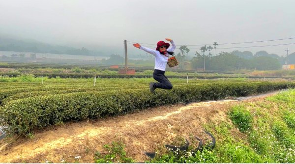 小百岳關刀山889m+銅鑼杭菊1924065