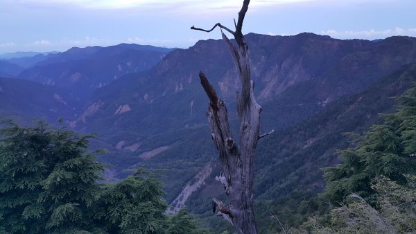 玉山主峰步道 2017 06 27140389