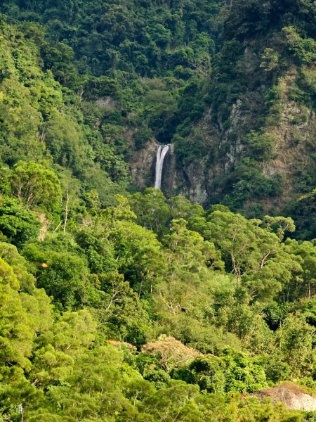 羅山村竹林步道-2025漫遊縱谷愛在花東-花蓮縣富里鄉2916726