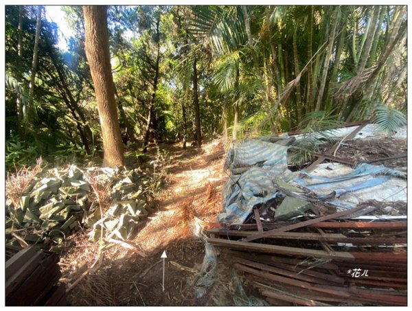 乞食崙 ( 台中/大肚山 )2937408