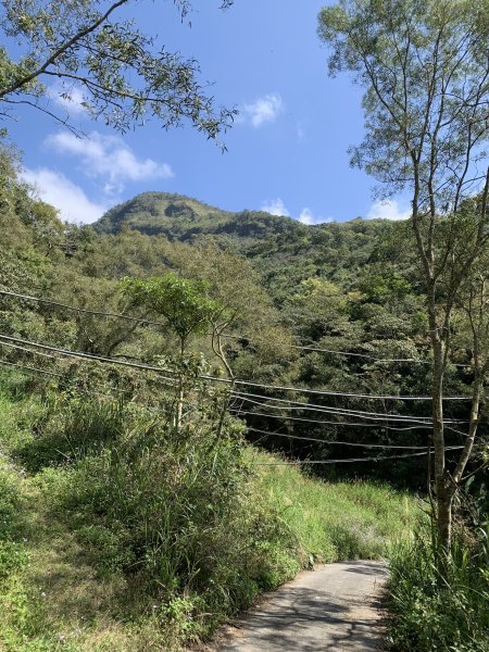 20250228屏東達洼蘭山-下達洼蘭山2732893