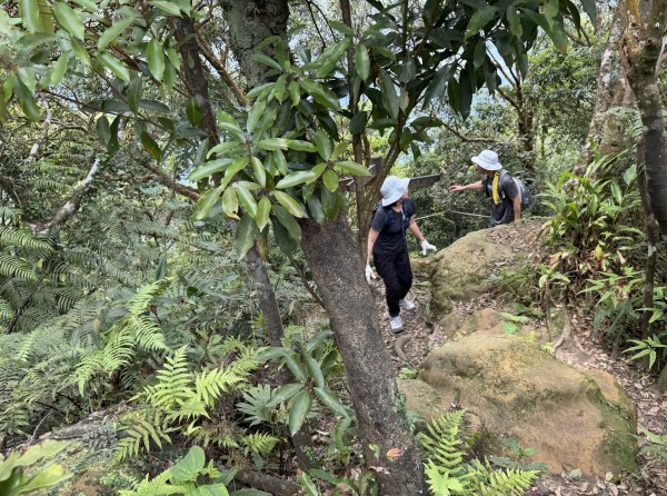 [微笑山線_第八段] 2026_0411 二格山系_筆架山南峰3035181