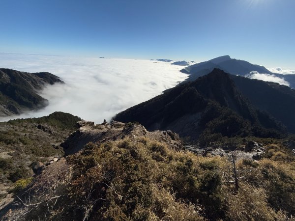 20250104-05 向陽縱走魔保來溪頭山出關山嶺山2683522