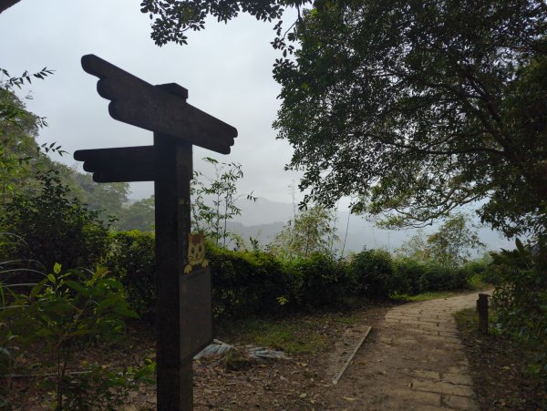 2026.03.08－微笑山線：【二格山系】銀河洞越嶺段&貓空纜車3014648