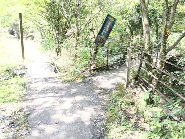 五指山古道+友蚋山南峰2757049