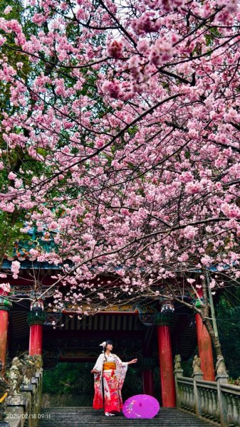 內湖碧山巖 2/182714803