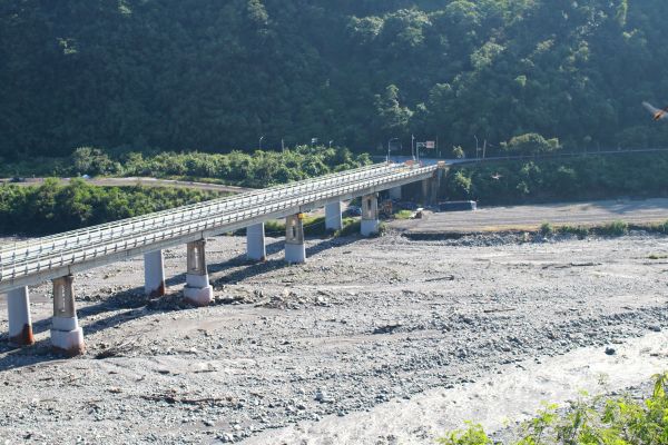 棲蘭森林浴步道194281